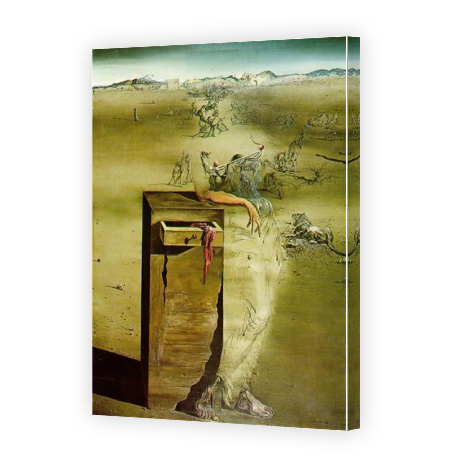 Thumbnail for Canvas - Mirror Image Canvas Wrap