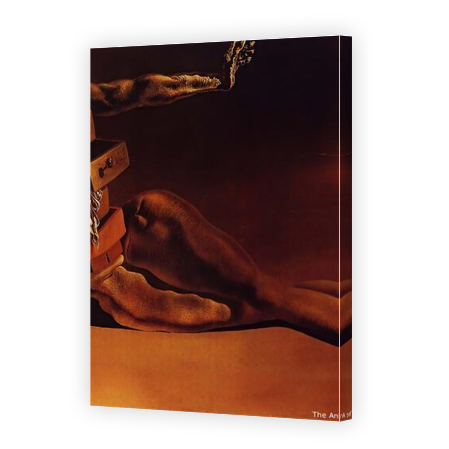 Thumbnail for Canvas - Mirror Image Canvas Wrap