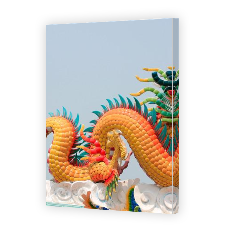 Thumbnail for Canvas - Mirror Image Canvas Wrap