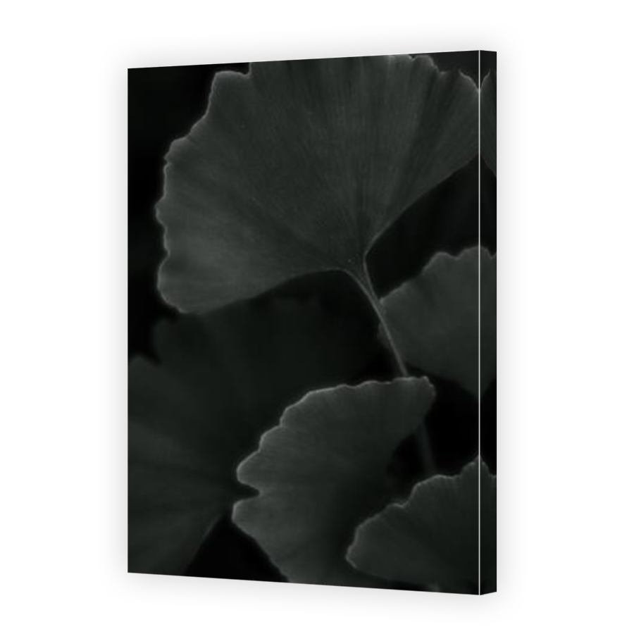 Thumbnail for Canvas - Mirror Image Canvas Wrap