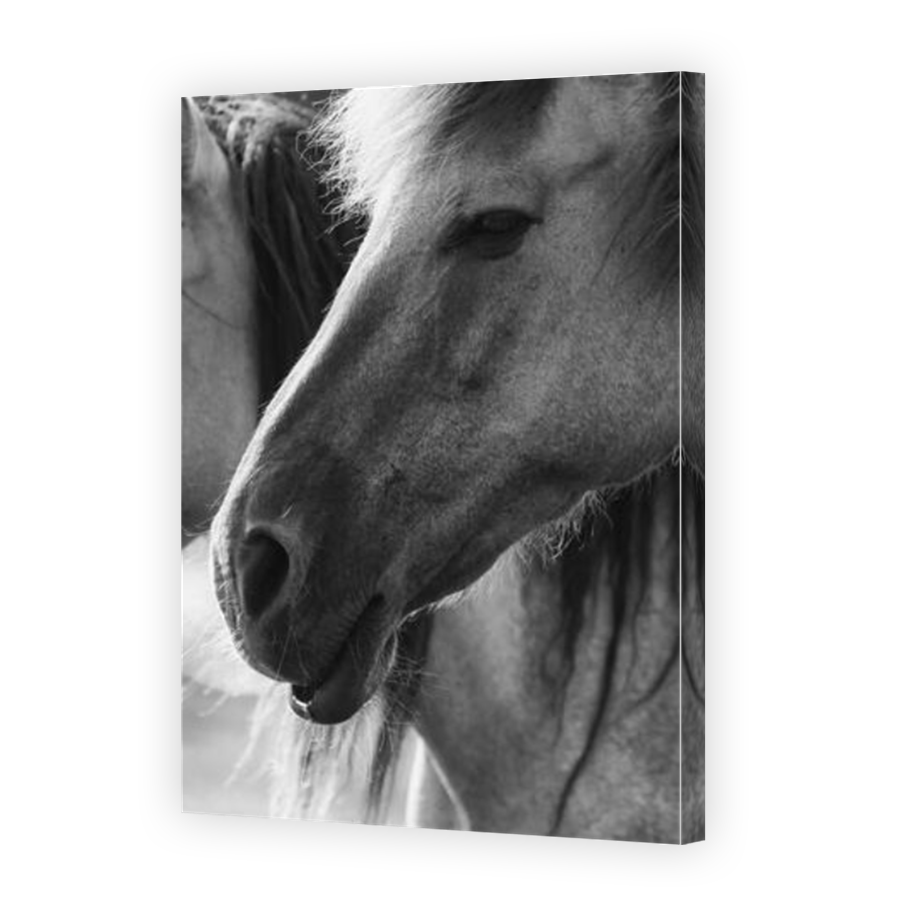 Thumbnail for Canvas - Mirror Image Canvas Wrap