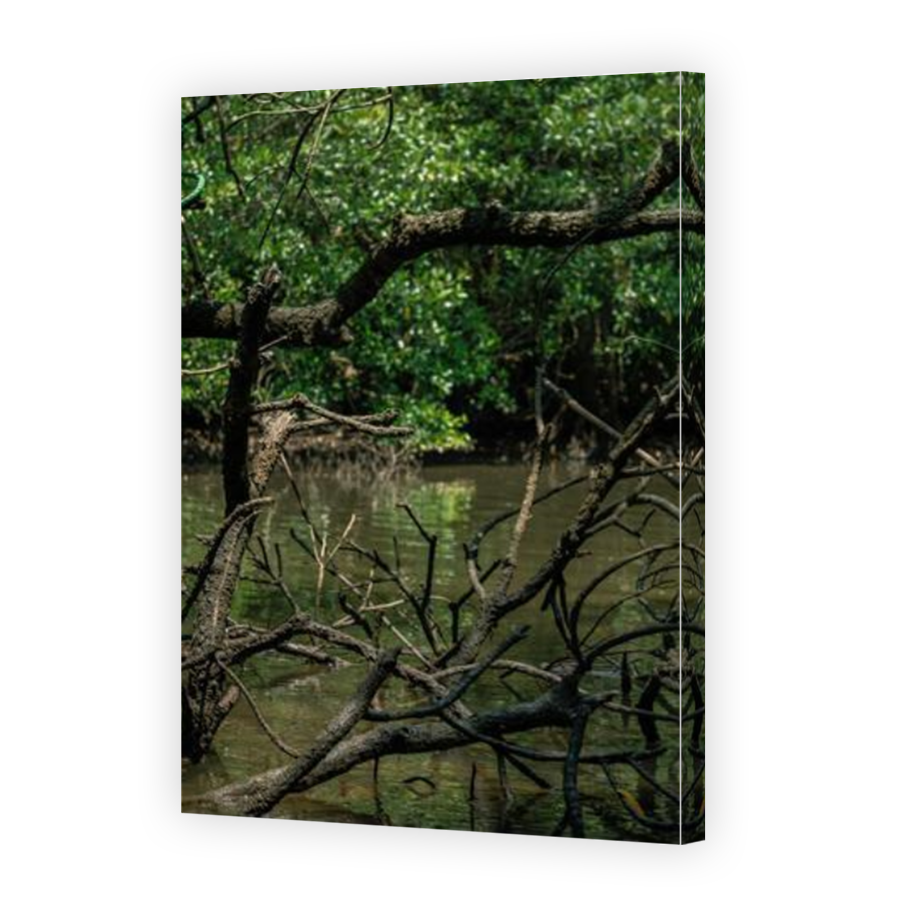 Thumbnail for Canvas - Mirror Image Canvas Wrap