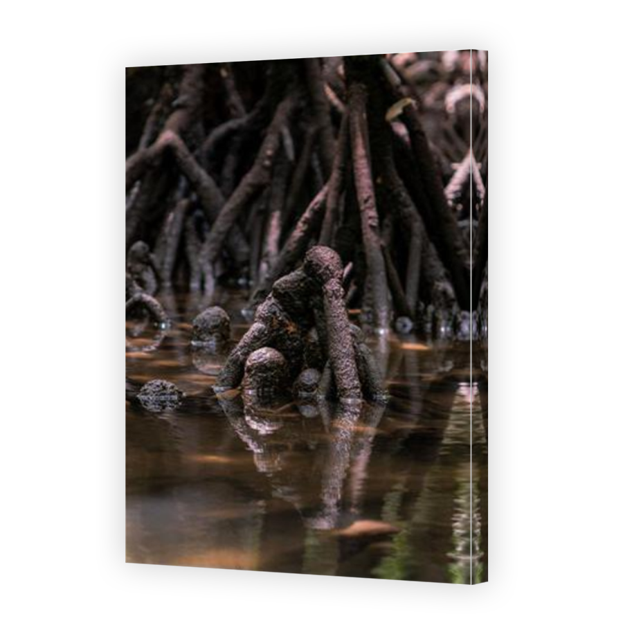 Thumbnail for Canvas - Mirror Image Canvas Wrap