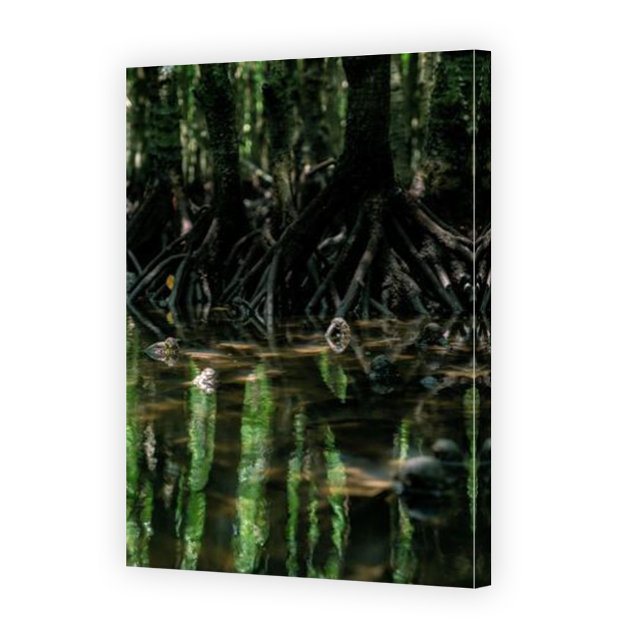 Thumbnail for Canvas - Mirror Image Canvas Wrap
