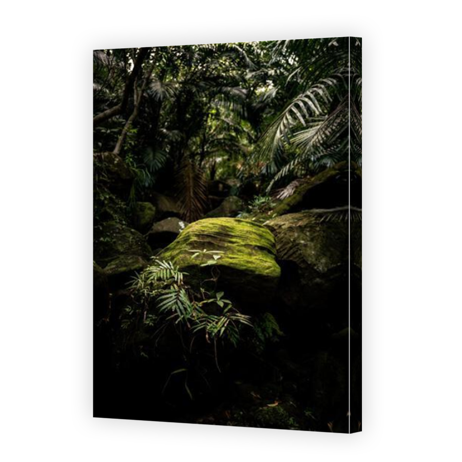 Thumbnail for Canvas - Mirror Image Canvas Wrap
