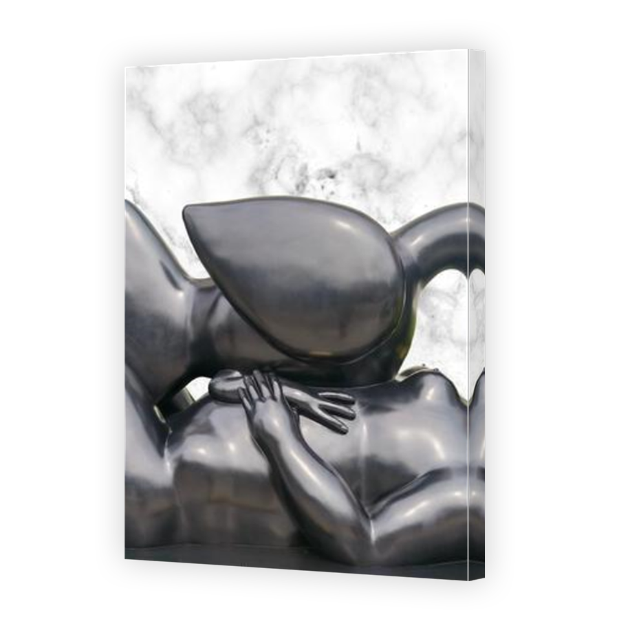 Thumbnail for Canvas - Mirror Image Canvas Wrap