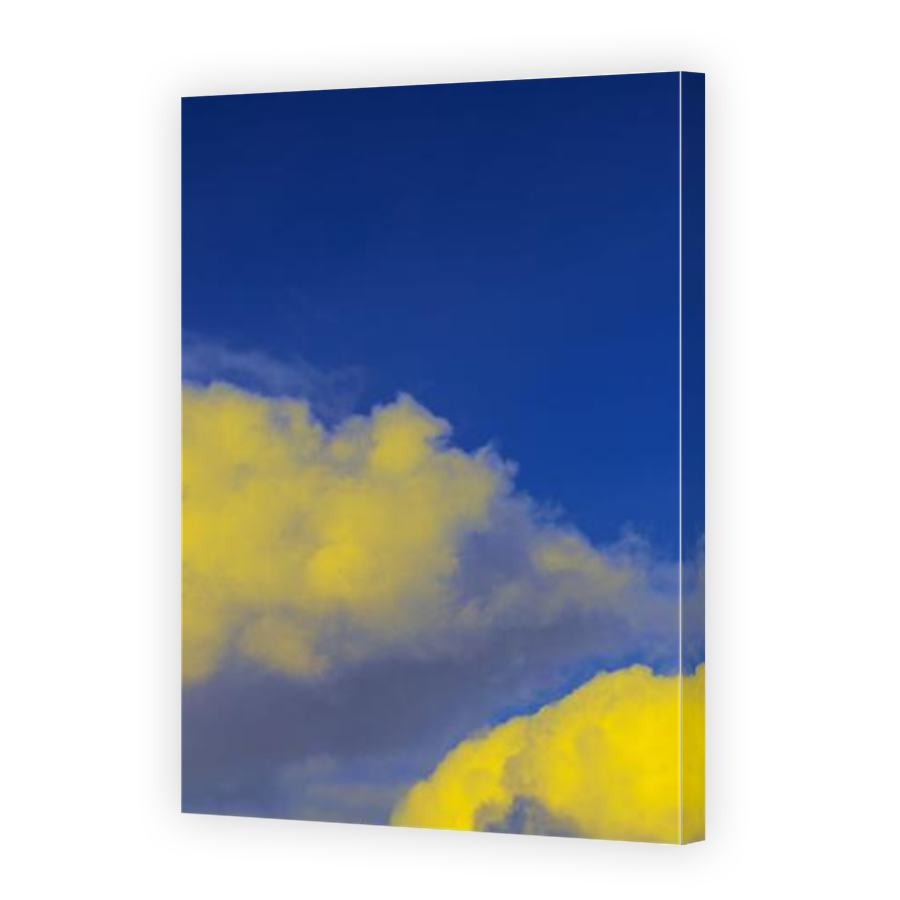 Thumbnail for Canvas - Mirror Image Canvas Wrap