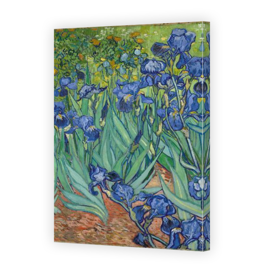 Thumbnail for Canvas - Mirror Image Canvas Wrap