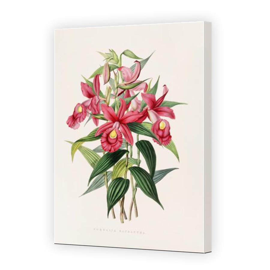 Thumbnail for Canvas - Mirror Image Canvas Wrap