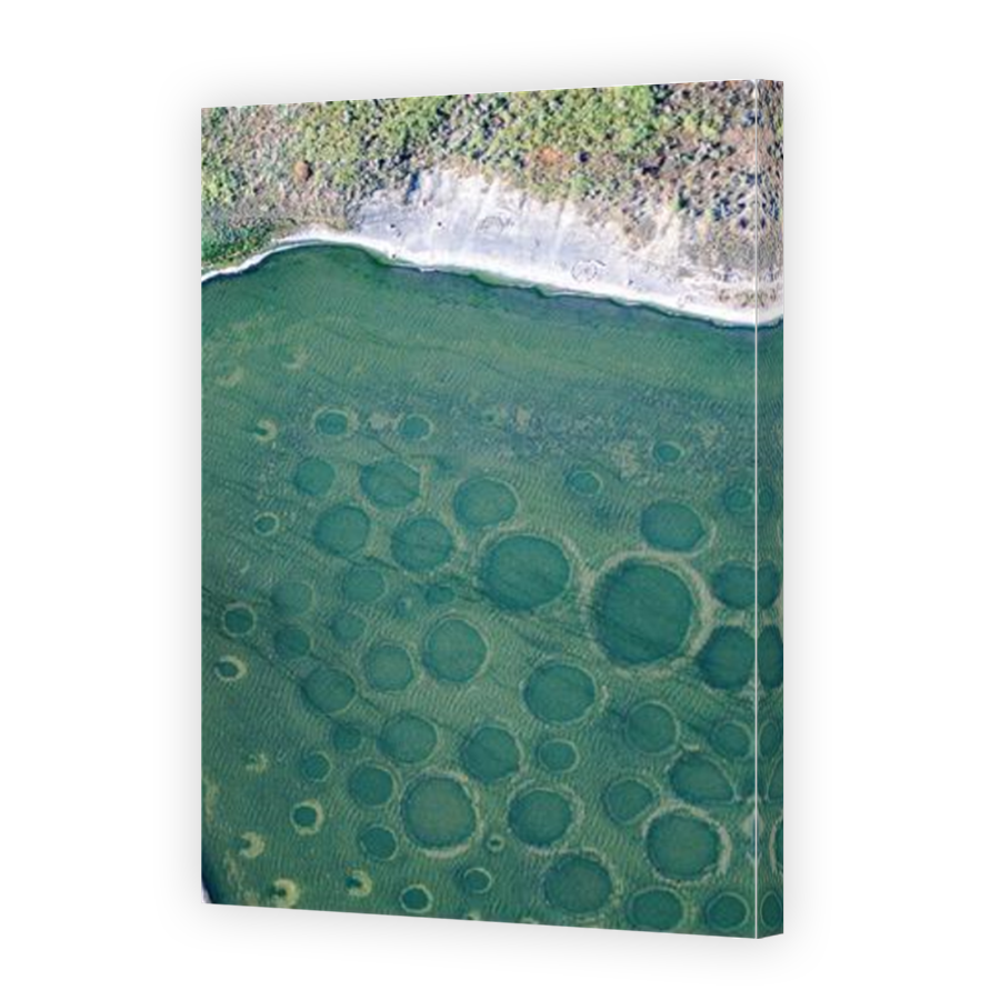 Thumbnail for Canvas - Mirror Image Canvas Wrap