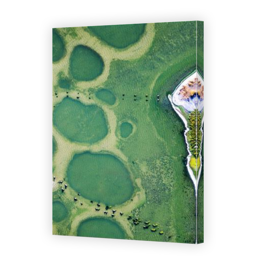 Thumbnail for Canvas - Mirror Image Canvas Wrap