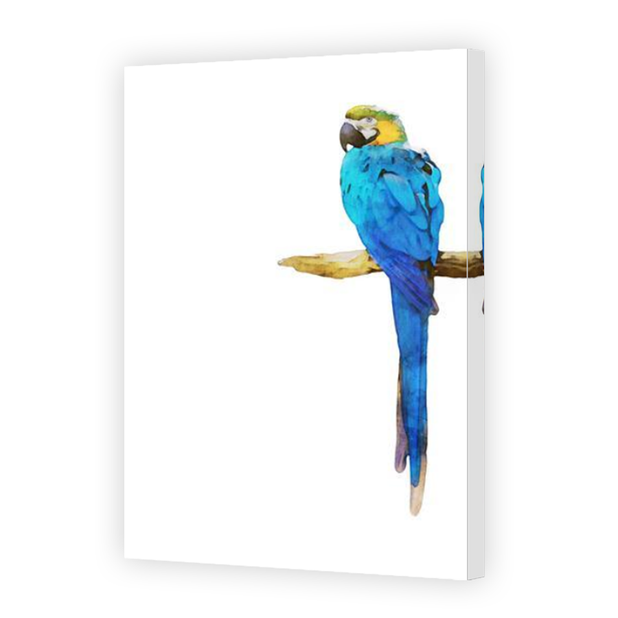 Thumbnail for Canvas - Mirror Image Canvas Wrap