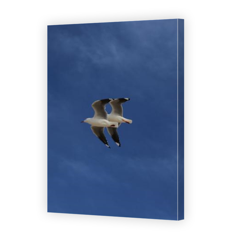 Thumbnail for Canvas - Mirror Image Canvas Wrap