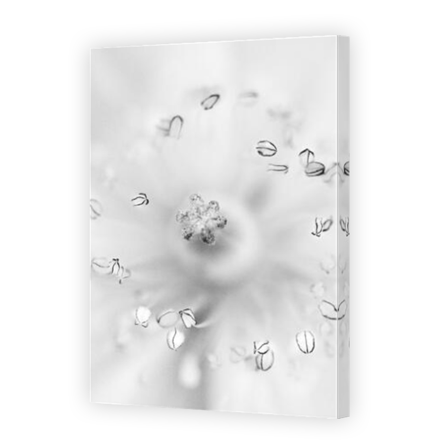 Thumbnail for Canvas - Mirror Image Canvas Wrap