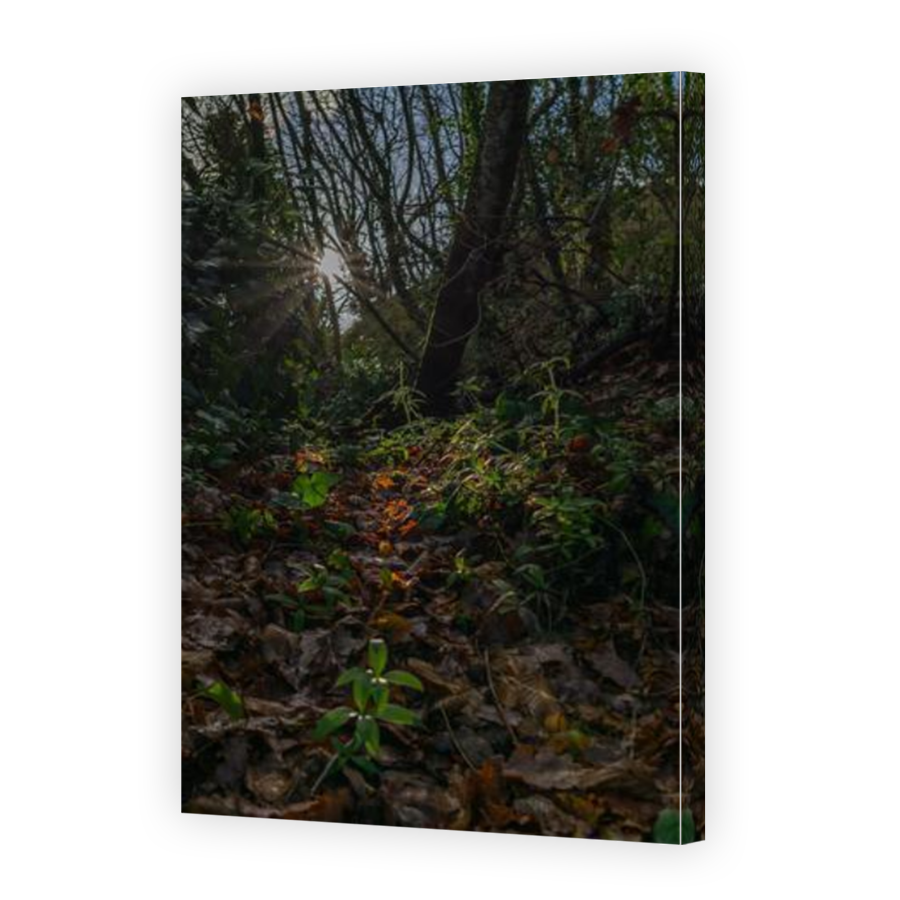 Thumbnail for Canvas - Mirror Image Canvas Wrap