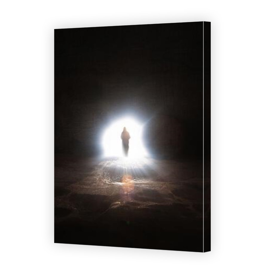Thumbnail for Canvas - Mirror Image Canvas Wrap