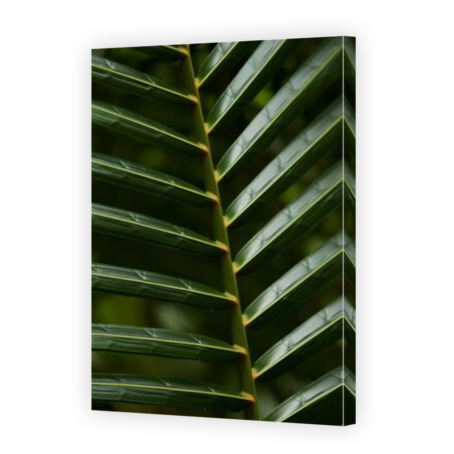 Thumbnail for Canvas - Mirror Image Canvas Wrap