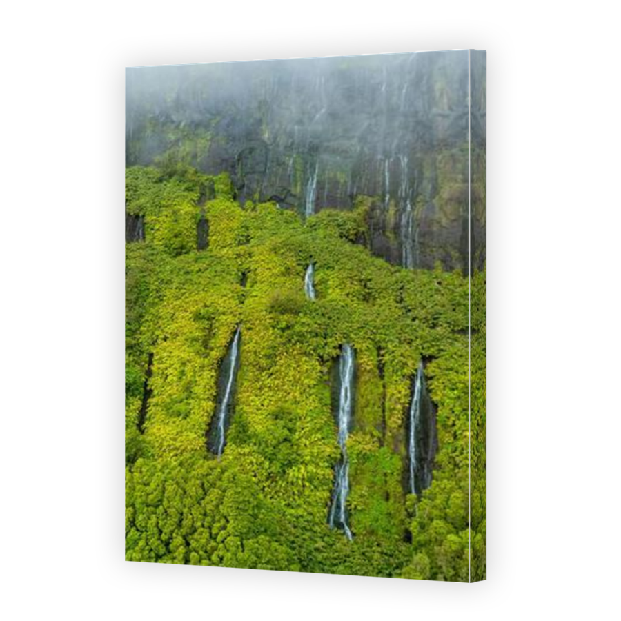 Thumbnail for Canvas - Mirror Image Canvas Wrap
