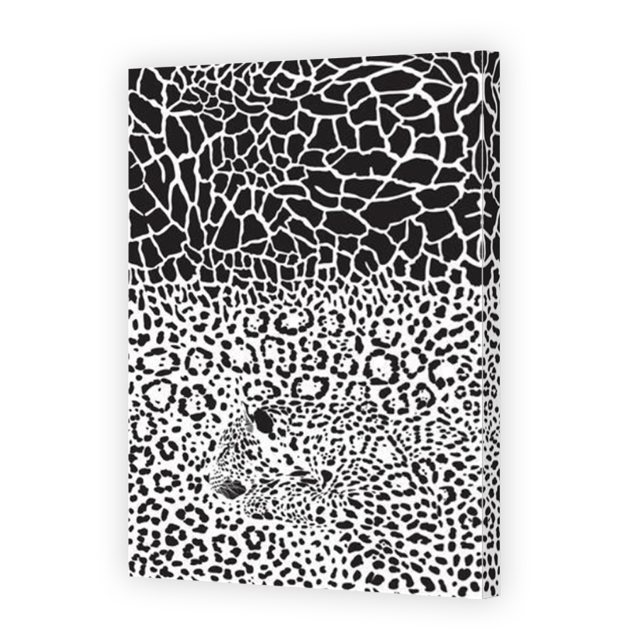 Thumbnail for Canvas - Mirror Image Canvas Wrap