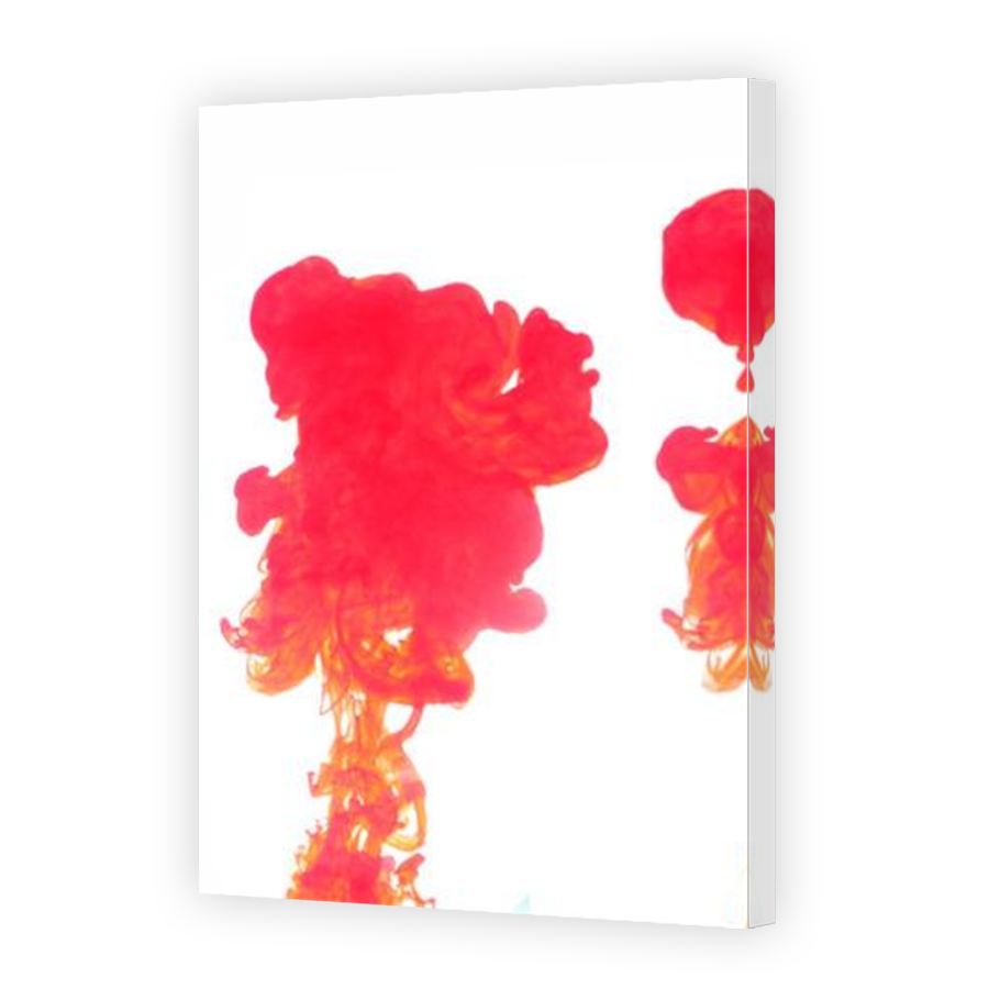 Thumbnail for Canvas - Mirror Image Canvas Wrap