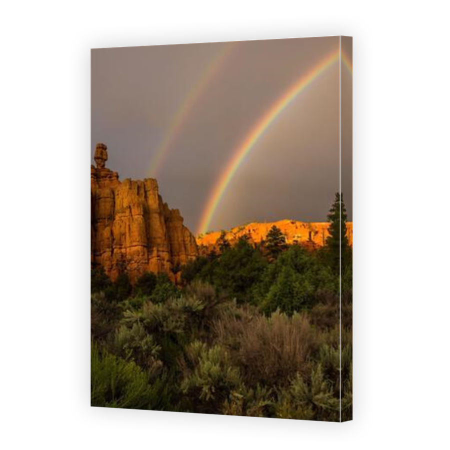 Thumbnail for Canvas - Mirror Image Canvas Wrap