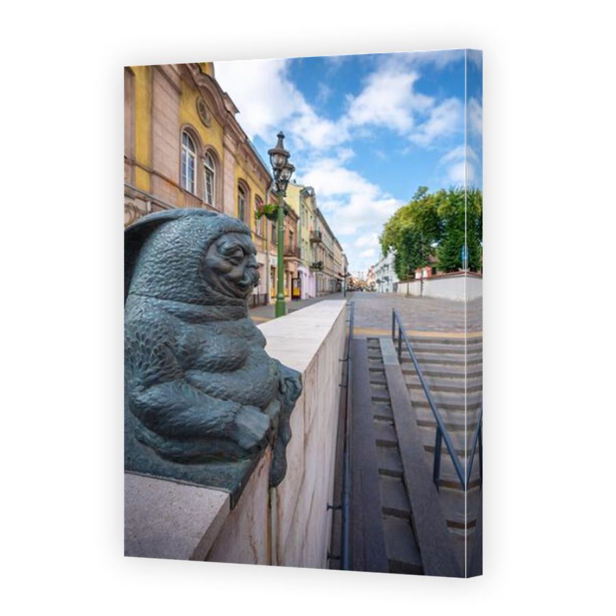 Thumbnail for Canvas - Mirror Image Canvas Wrap