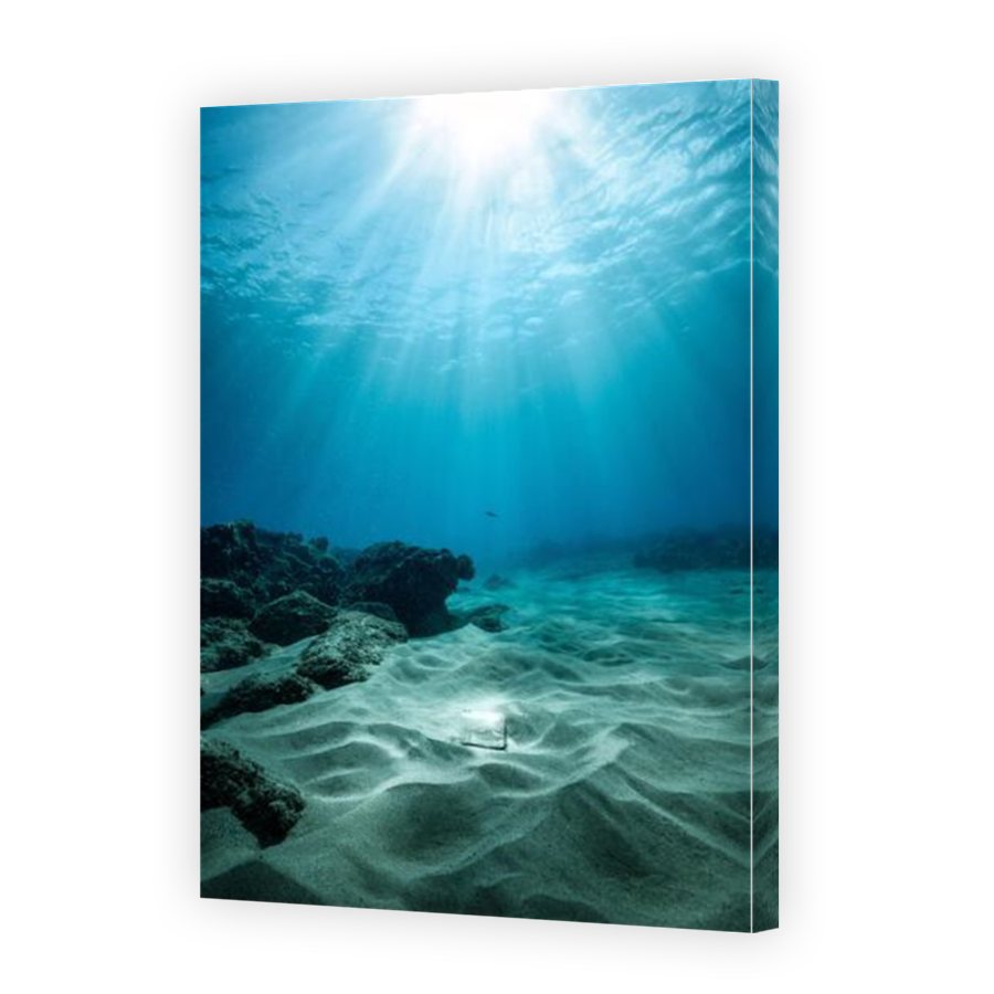 Thumbnail for Canvas - Mirror Image Canvas Wrap
