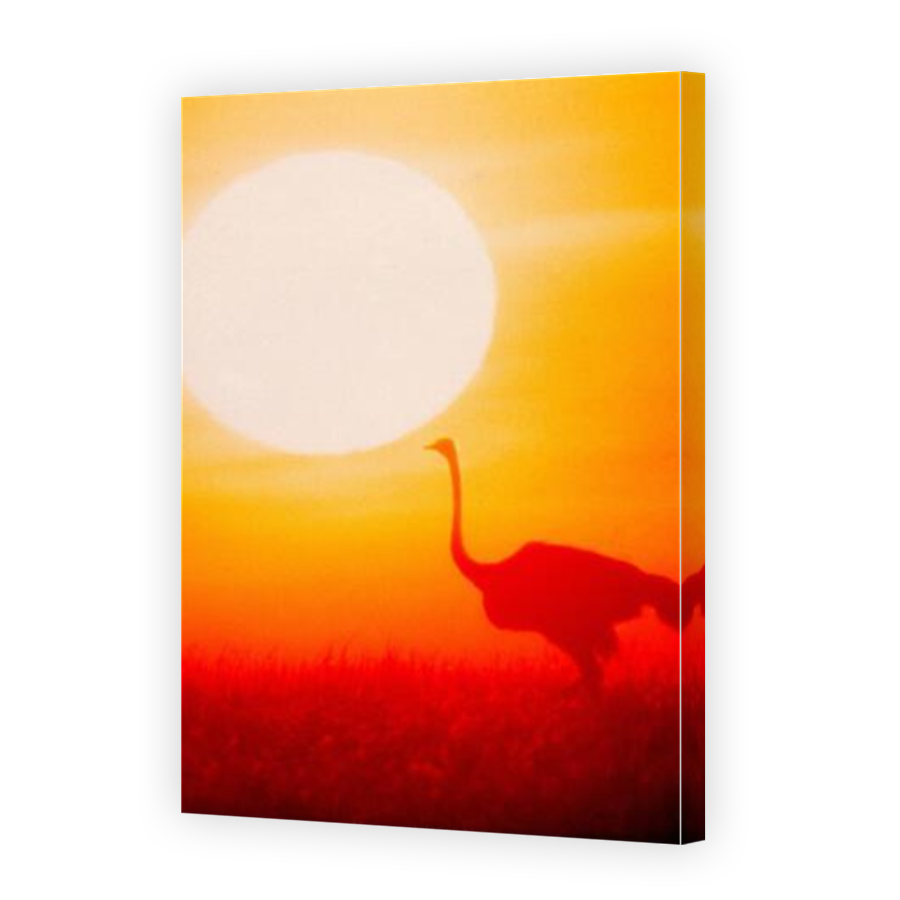 Thumbnail for Canvas - Mirror Image Canvas Wrap