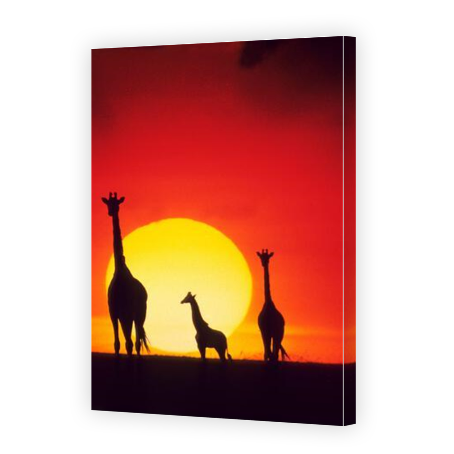 Thumbnail for Canvas - Mirror Image Canvas Wrap