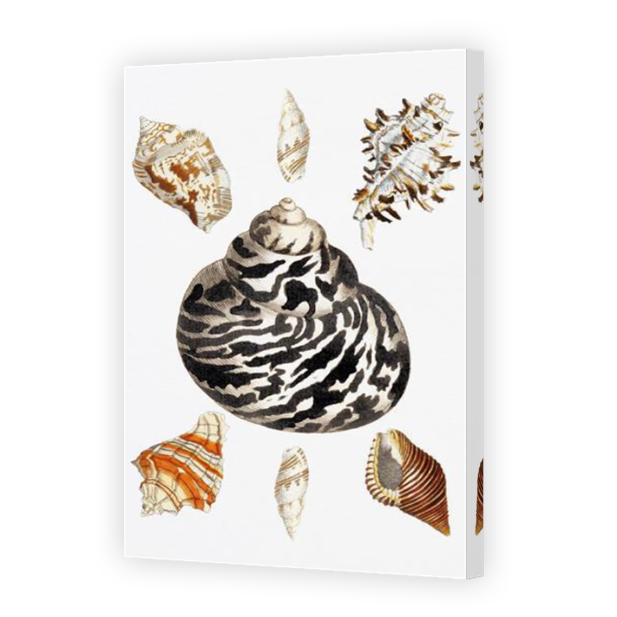 Thumbnail for Canvas - Mirror Image Canvas Wrap