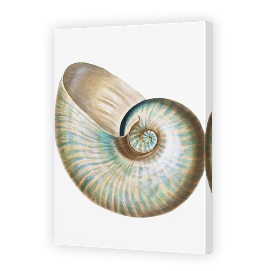 Thumbnail for Canvas - Mirror Image Canvas Wrap