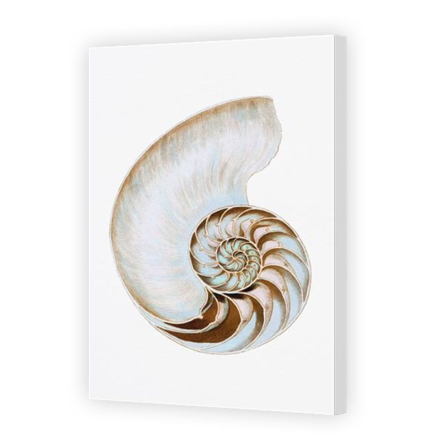 Thumbnail for Canvas - Mirror Image Canvas Wrap