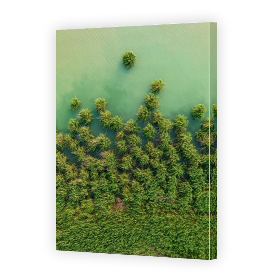 Thumbnail for Canvas - Mirror Image Canvas Wrap