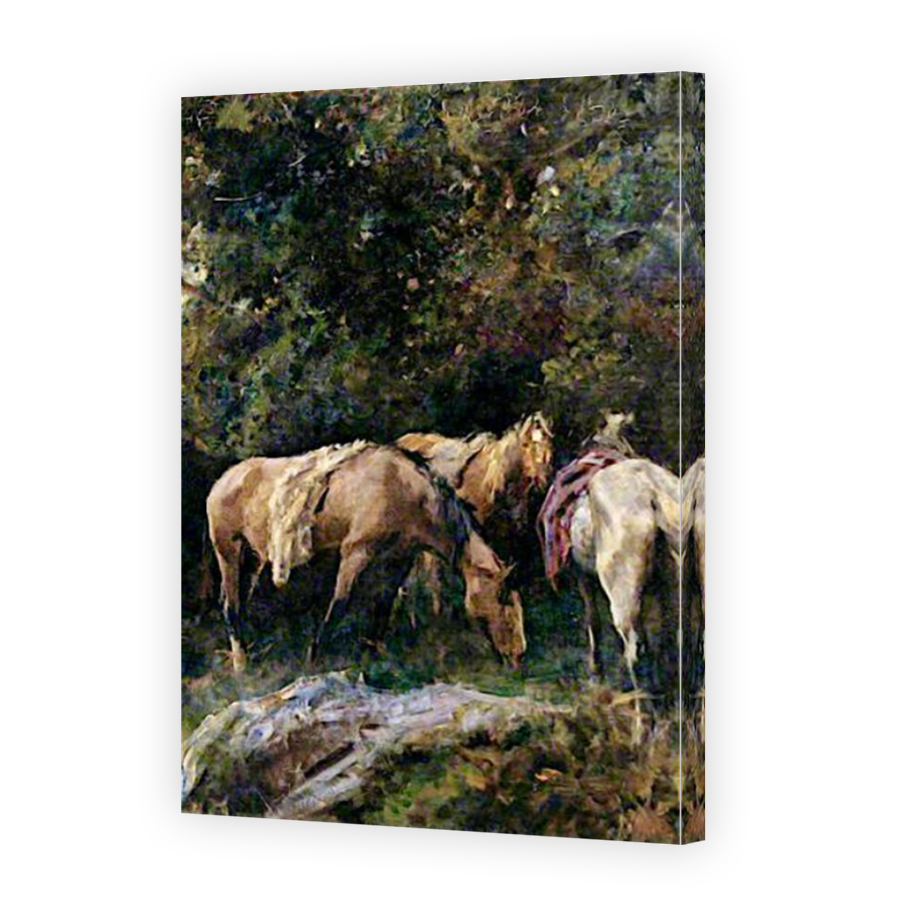 Thumbnail for Canvas - Mirror Image Canvas Wrap