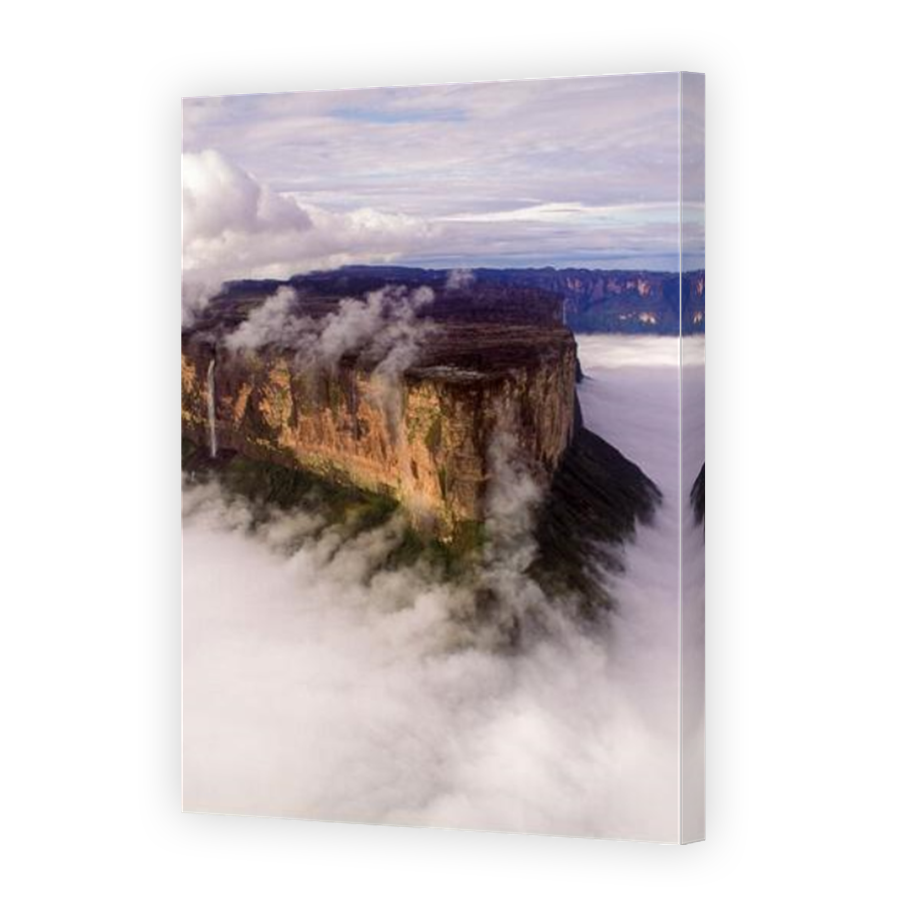 Thumbnail for Canvas - Mirror Image Canvas Wrap