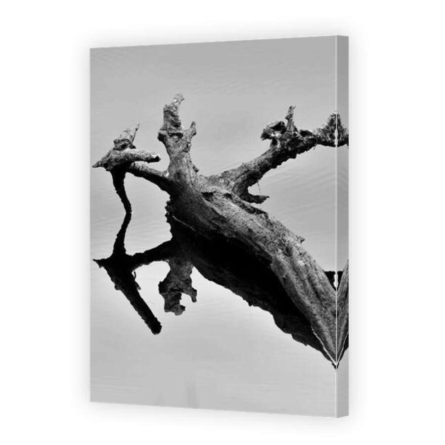 Thumbnail for Canvas - Mirror Image Canvas Wrap