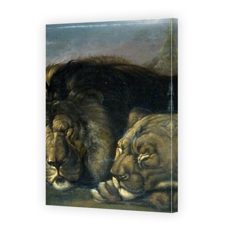 Thumbnail for Canvas - Mirror Image Canvas Wrap