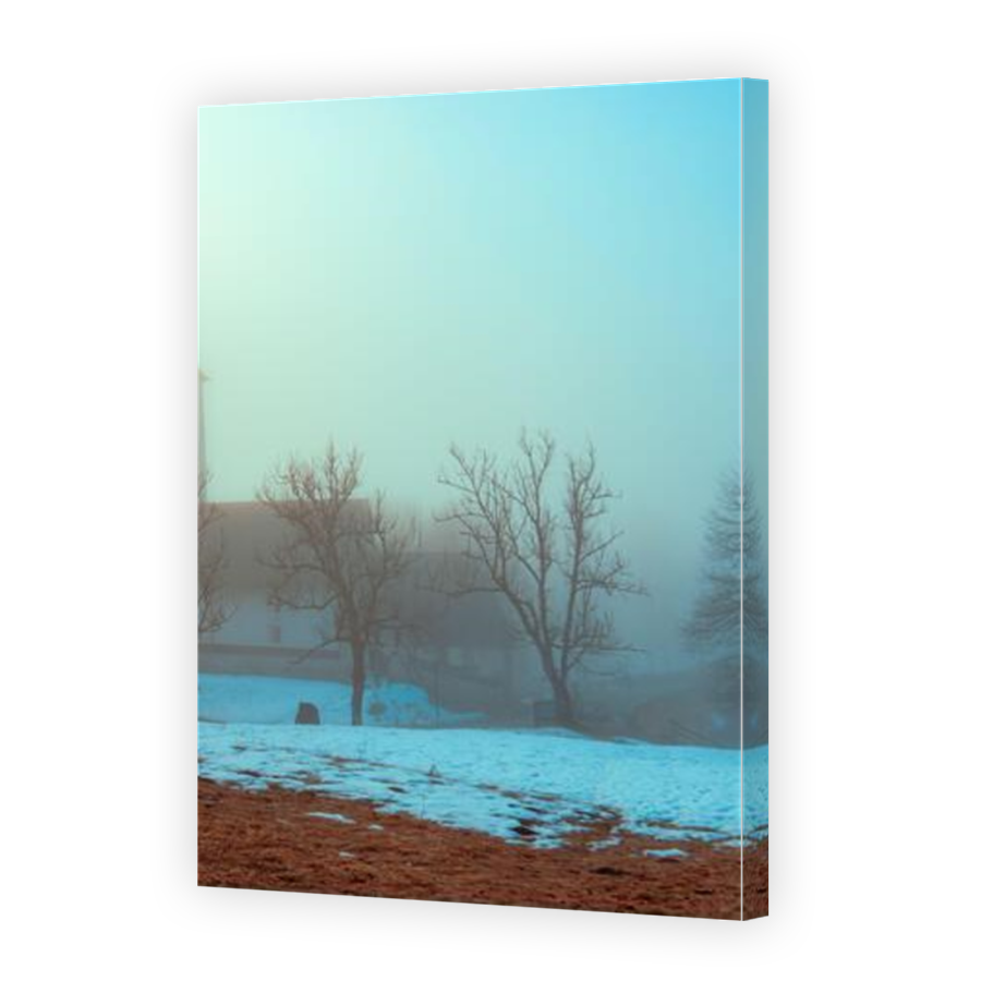 Thumbnail for Canvas - Mirror Image Canvas Wrap