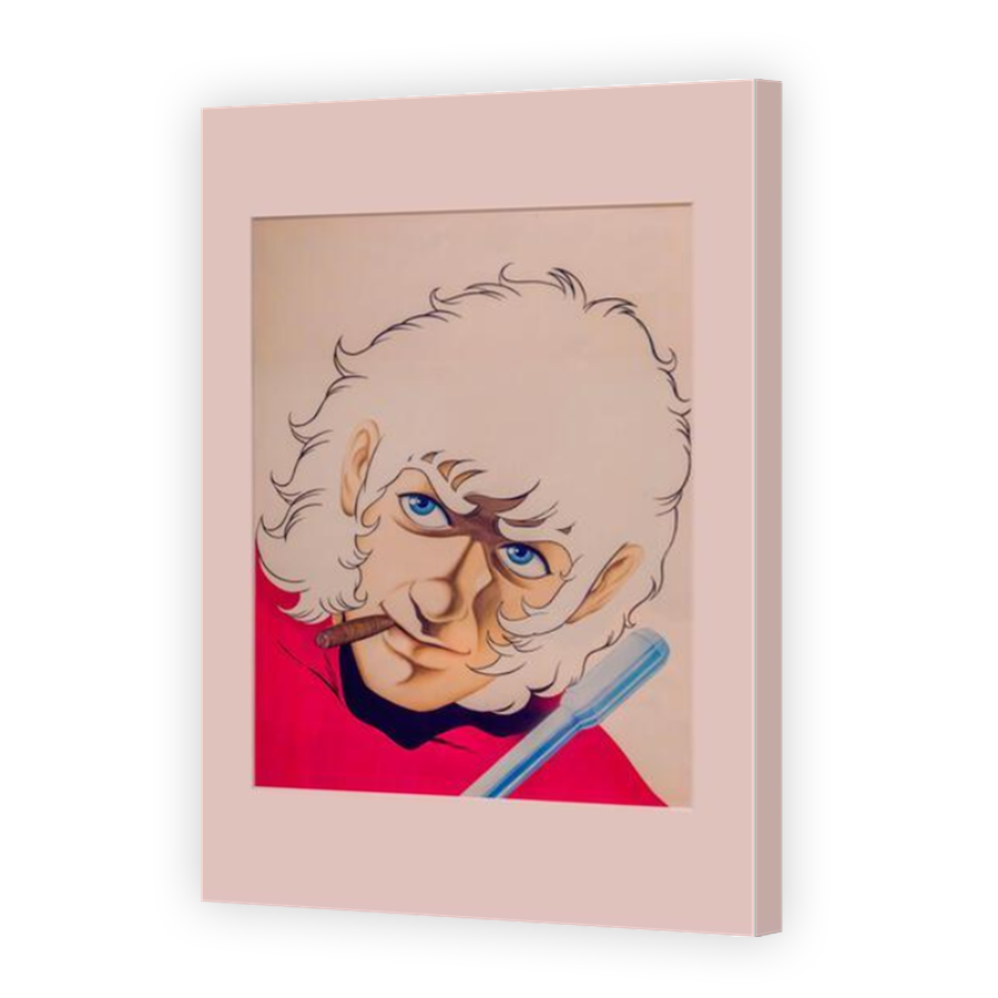 Thumbnail for Canvas - Mirror Image Canvas Wrap
