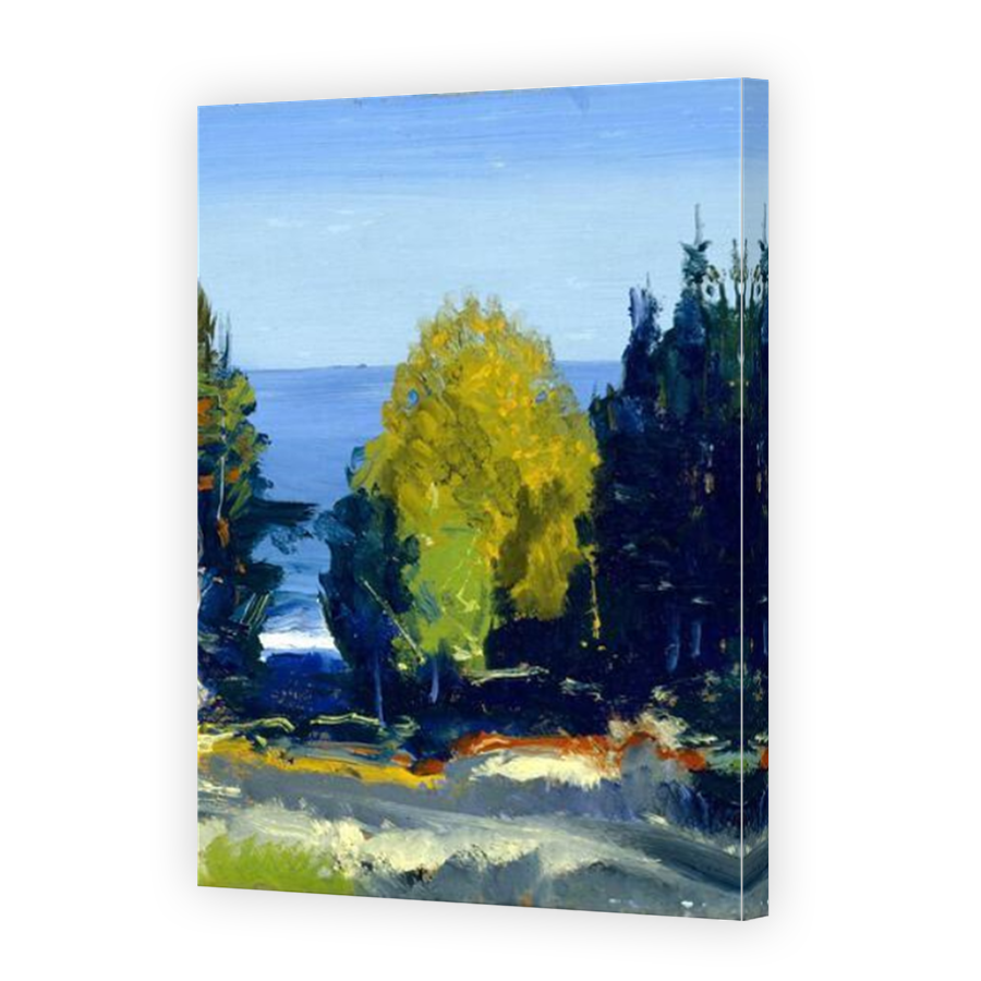 Thumbnail for Canvas - Mirror Image Canvas Wrap