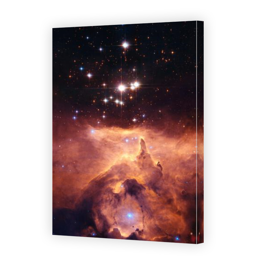 Thumbnail for Canvas - Mirror Image Canvas Wrap