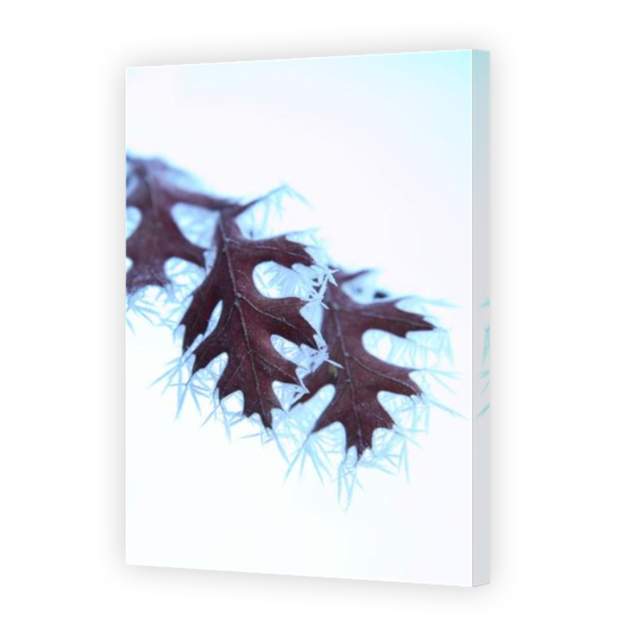 Thumbnail for Canvas - Mirror Image Canvas Wrap