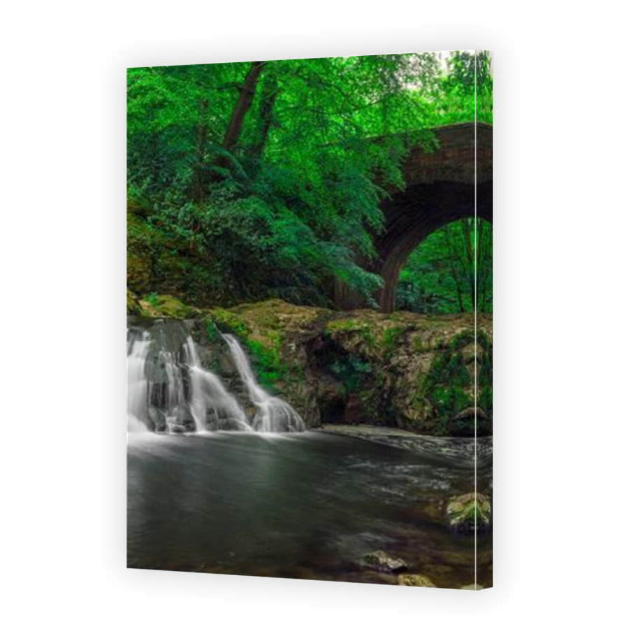 Thumbnail for Canvas - Mirror Image Canvas Wrap