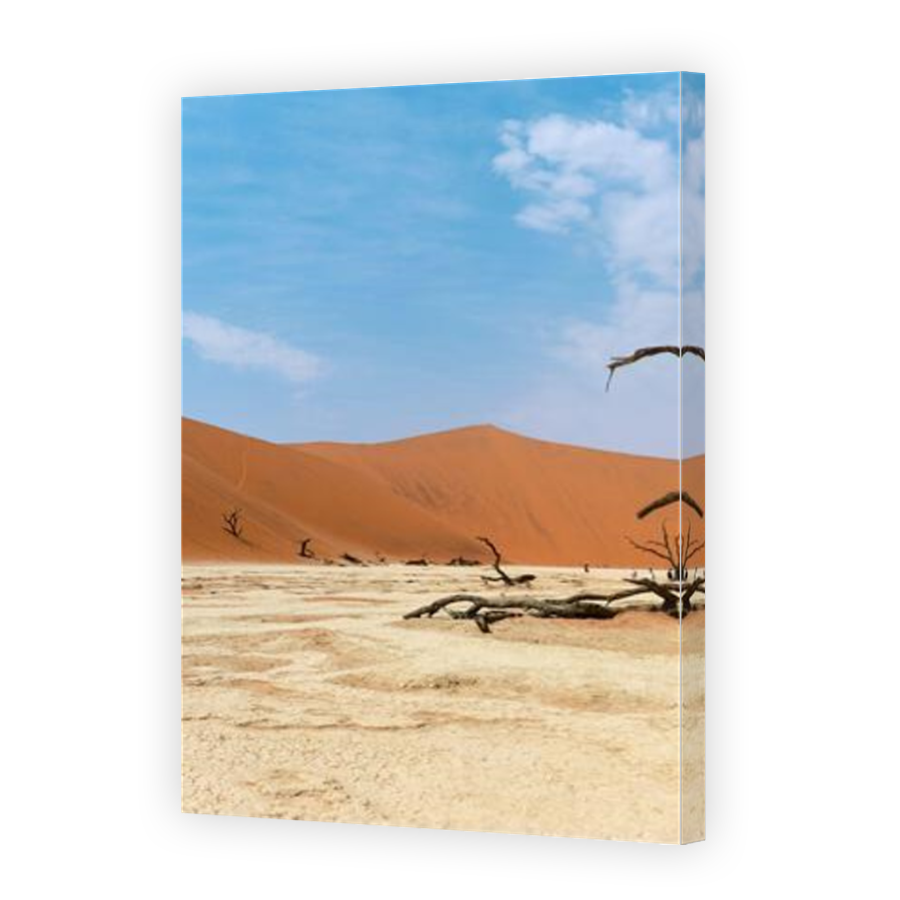 Thumbnail for Canvas - Mirror Image Canvas Wrap