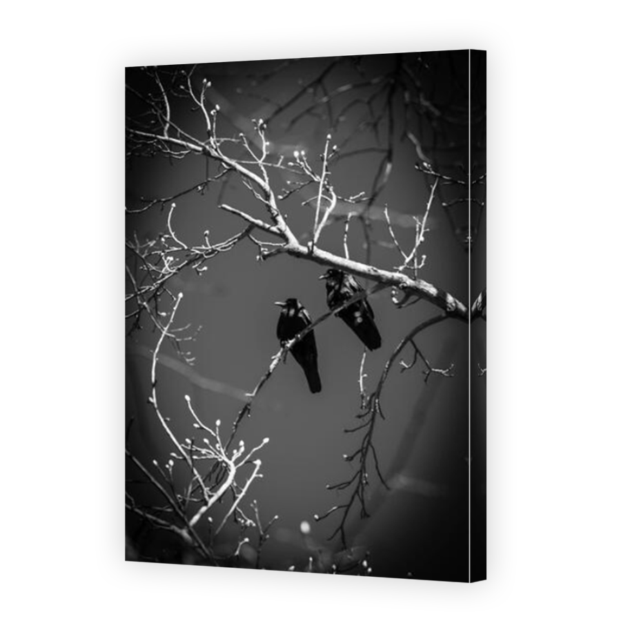 Thumbnail for Canvas - Mirror Image Canvas Wrap