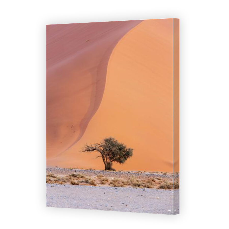 Thumbnail for Canvas - Mirror Image Canvas Wrap