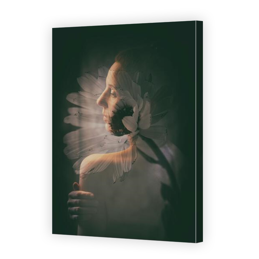 Thumbnail for Canvas - Mirror Image Canvas Wrap