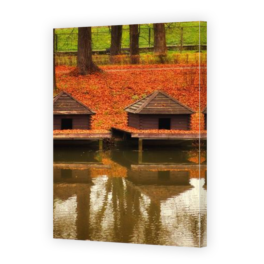 Thumbnail for Canvas - Mirror Image Canvas Wrap