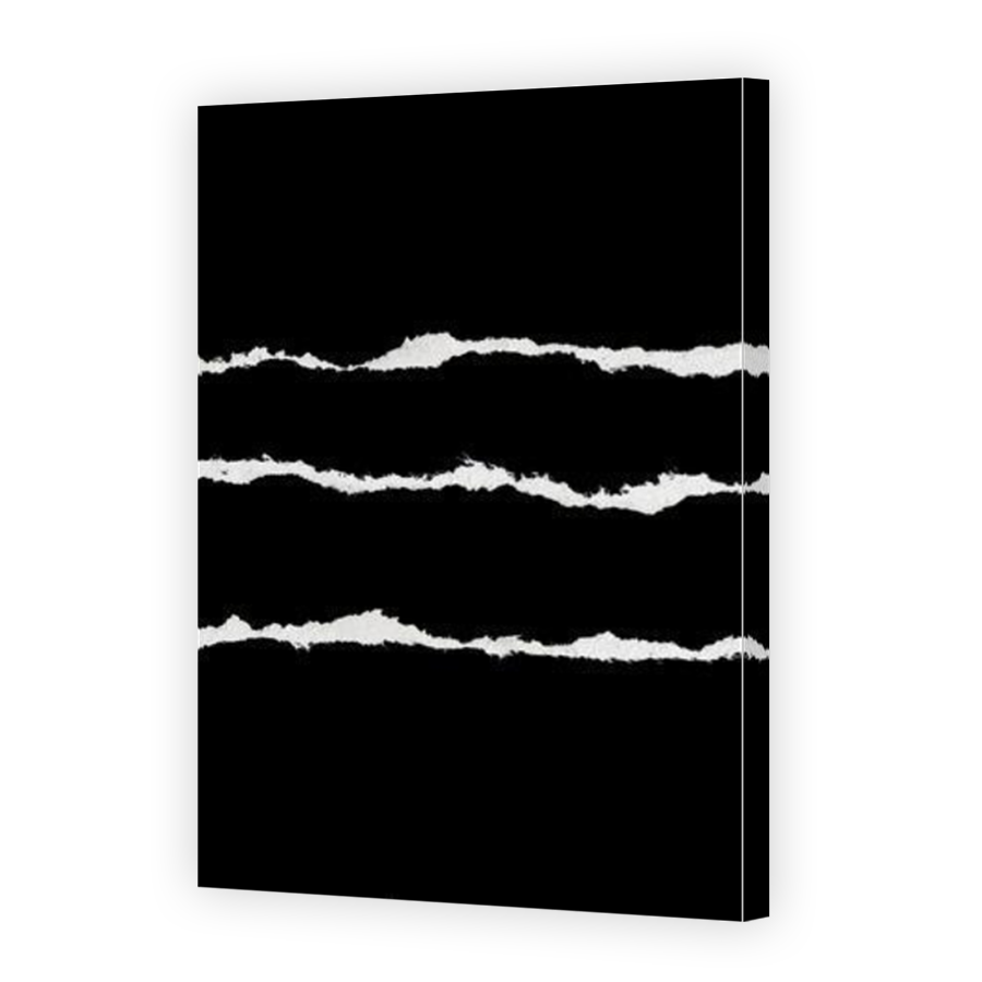 Thumbnail for Canvas - Mirror Image Canvas Wrap