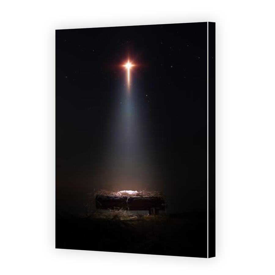 Thumbnail for Canvas - Mirror Image Canvas Wrap